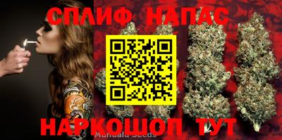 дживик Гусиноозёрск