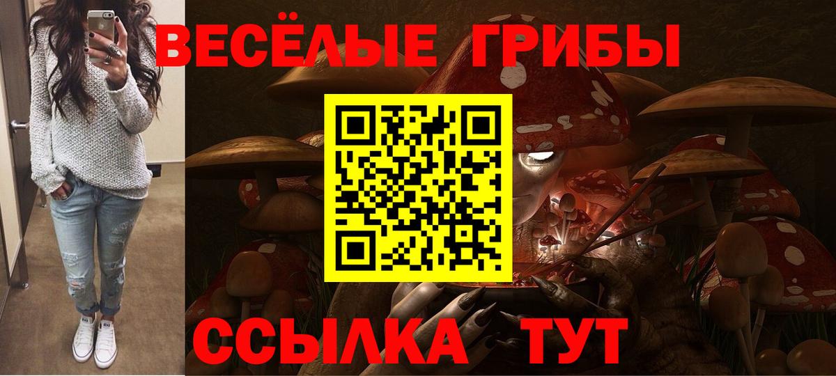 Галлюциногенные грибы GOLDEN TEACHER Буйнакск