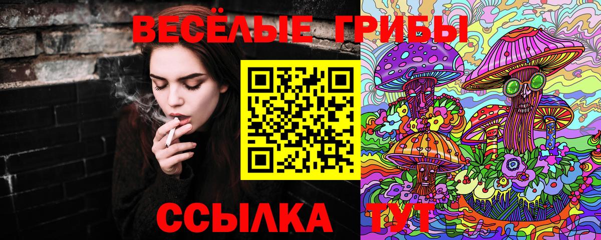 Буйнакск  Галлюциногенные грибы мухоморы  Вход с VPN 